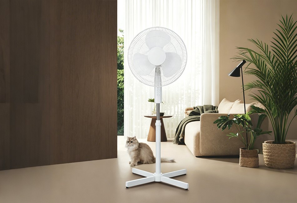 Factory product photo