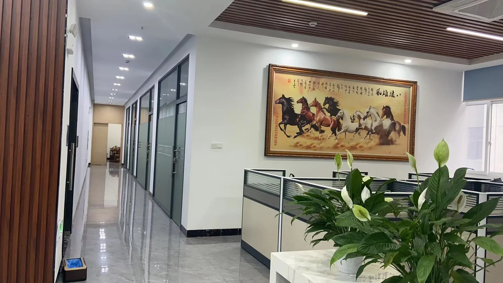 Pengxin Electronics engineering and office area