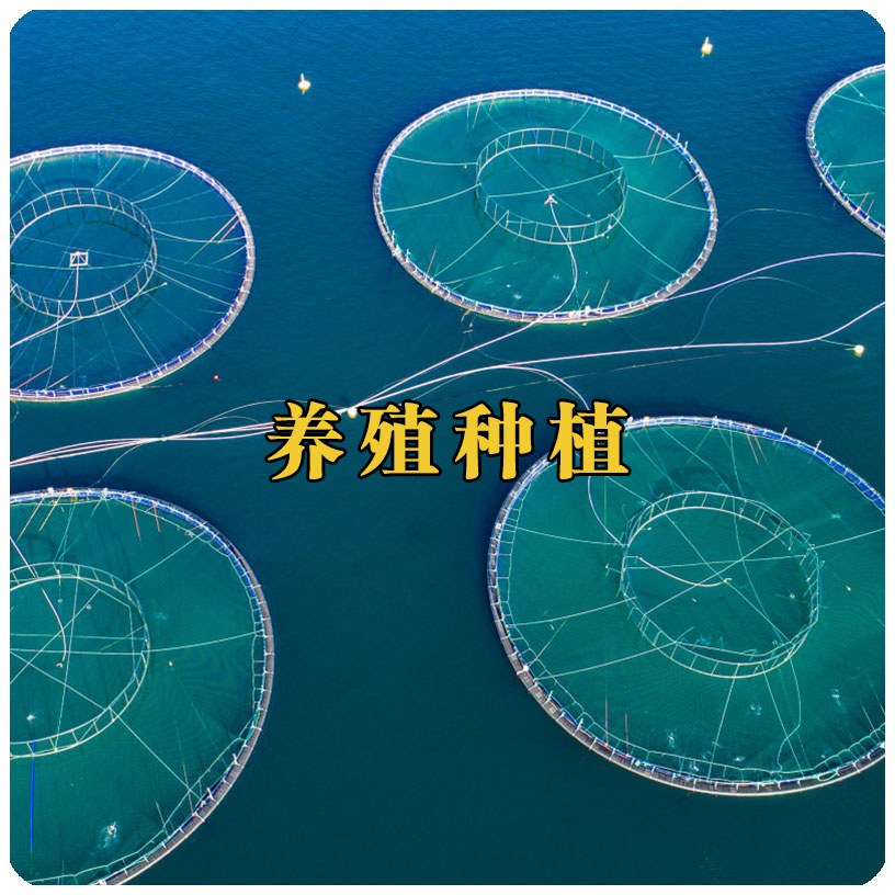 Product image · factory website