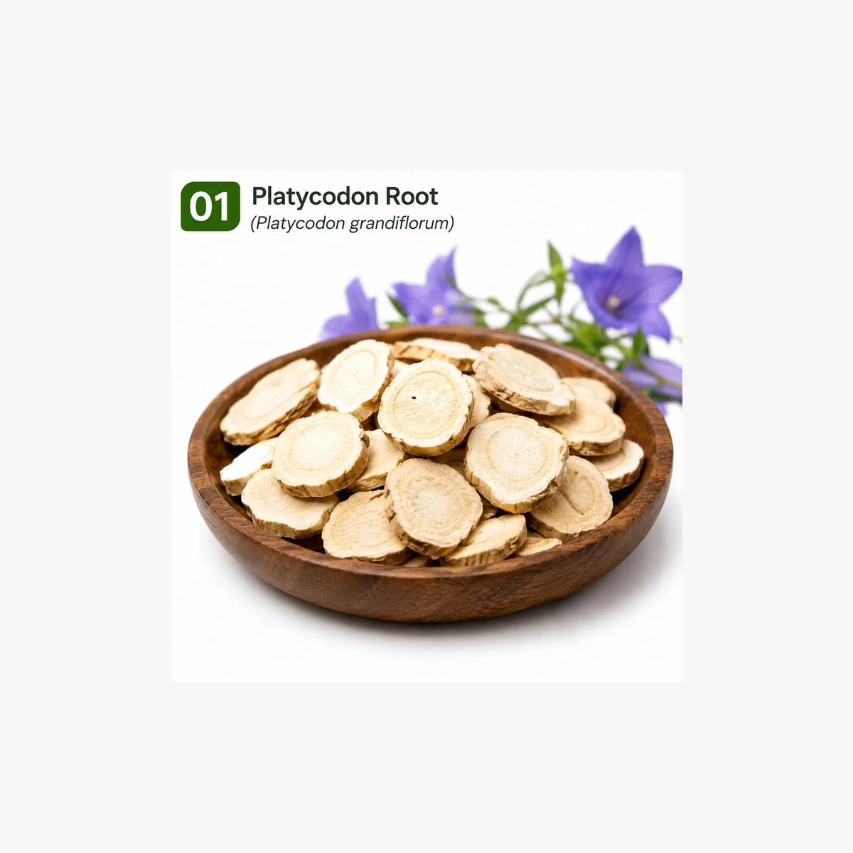 Platycodon Root