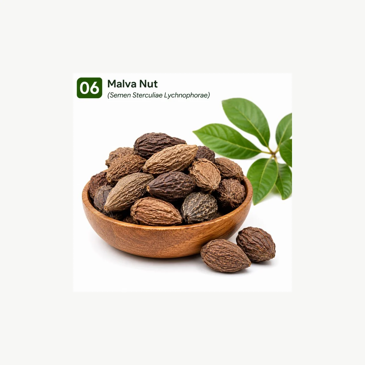 Malva Nut