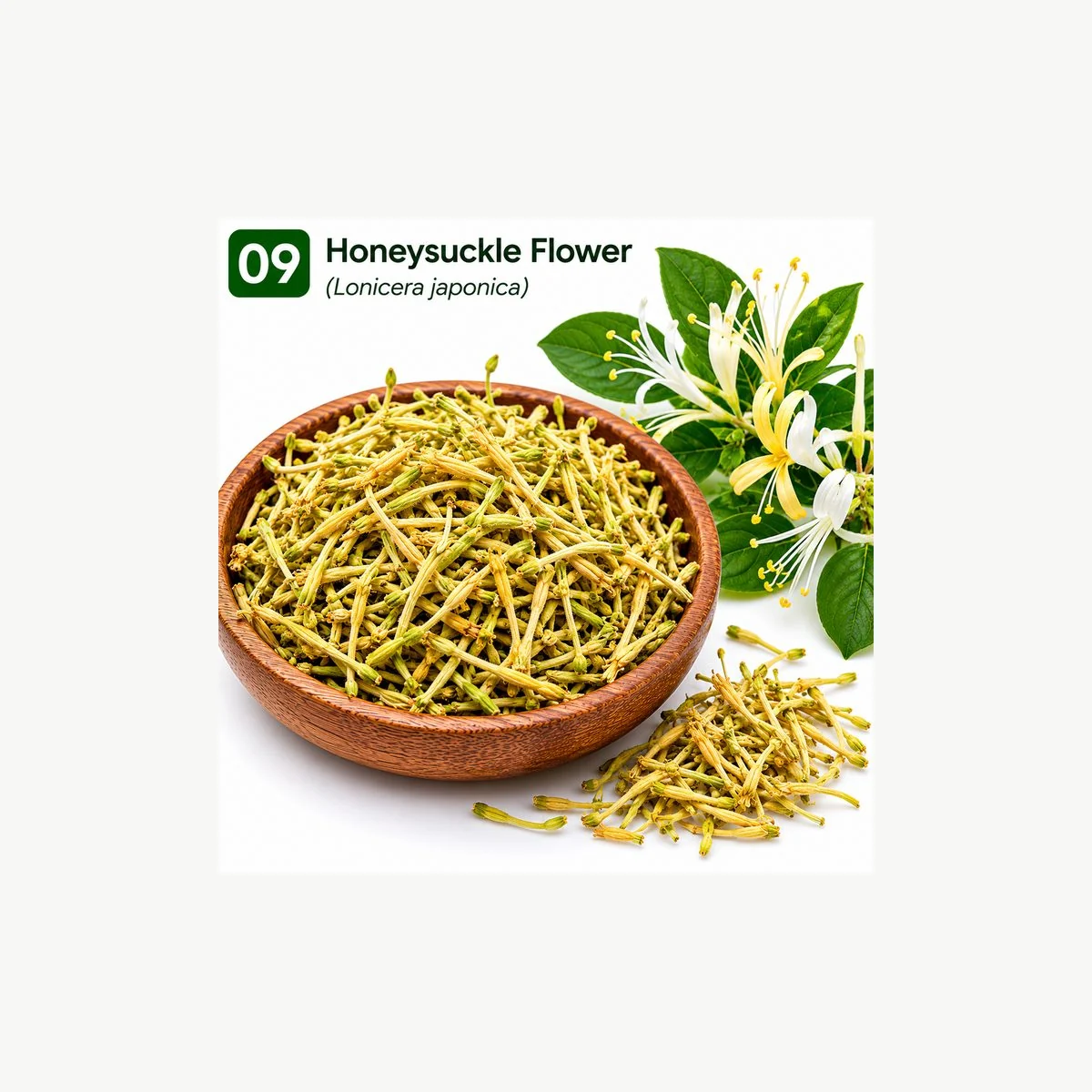 Honeysuckle Flower