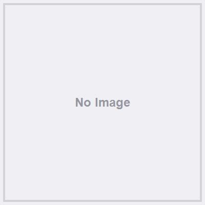 Product image · factory website